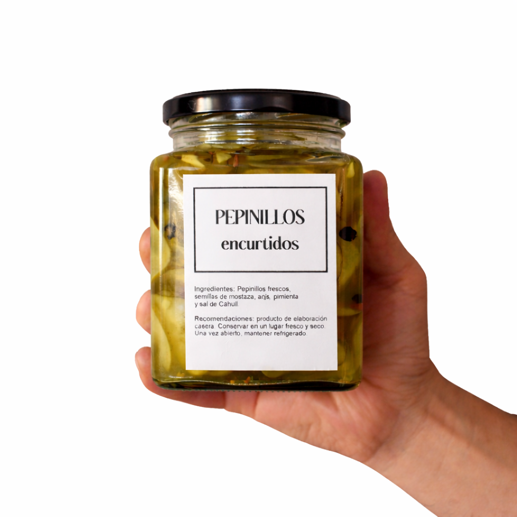 Pepinillos Encurtidos